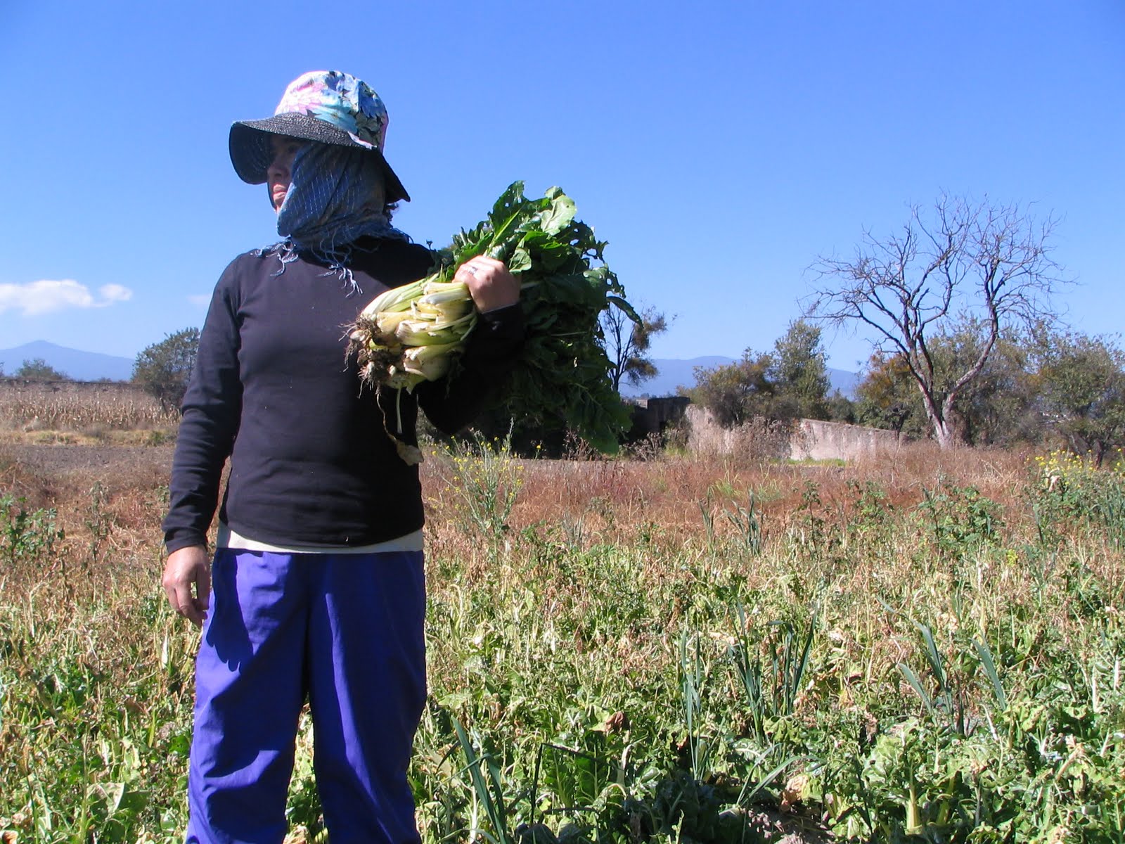 a woman working in the field