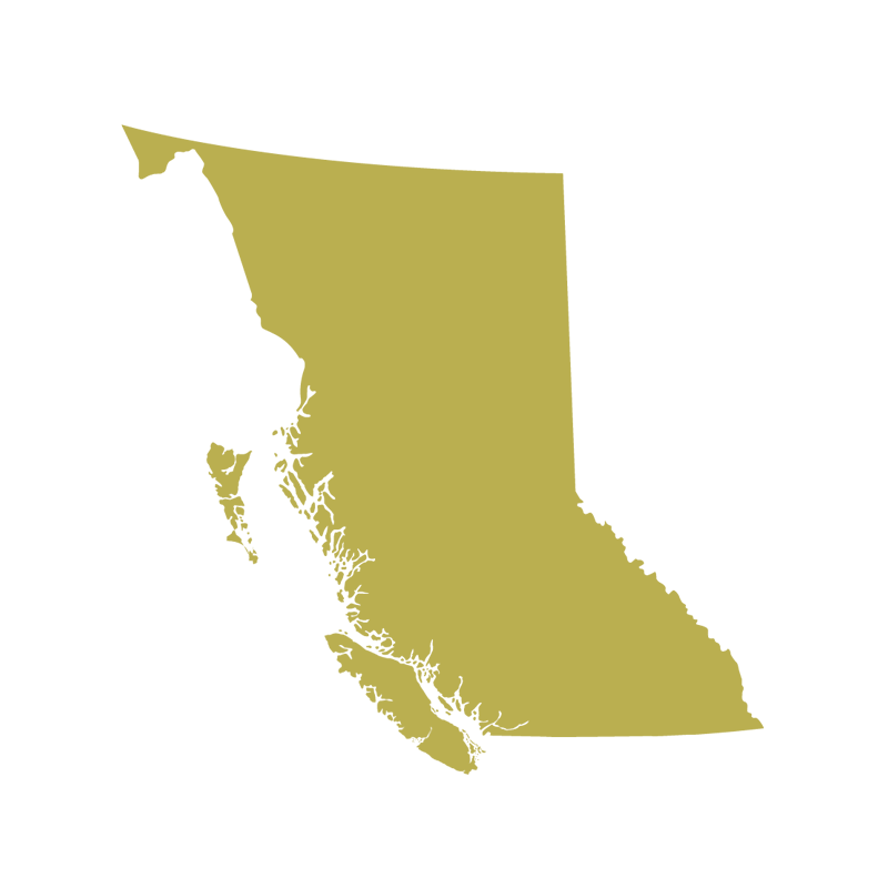 BC icon